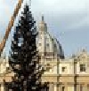 SAPIN DE NOEL AU VATICAN